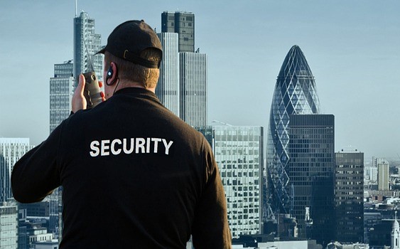 Security Screening image